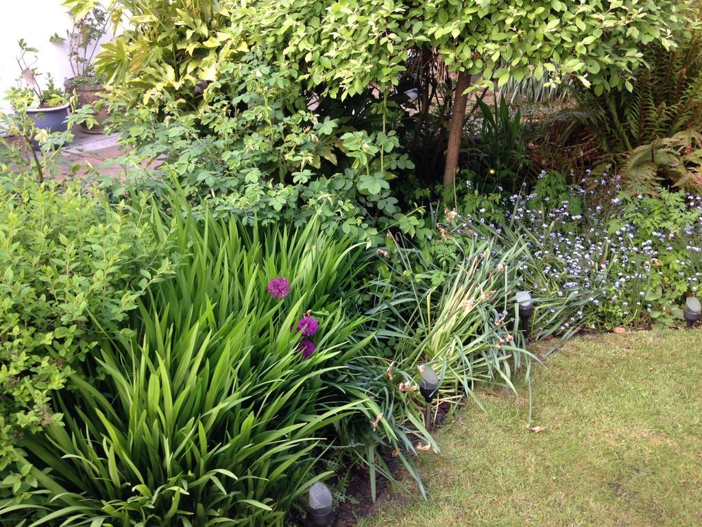 Willow Cottage B&B Yeadon Екстериор снимка